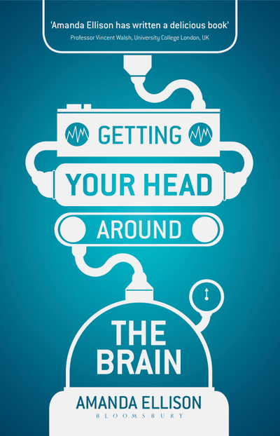 Getting your head around the brain