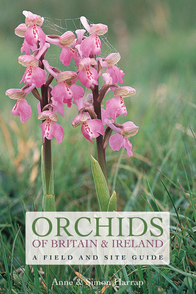 Orchids of Britain and Ireland