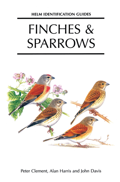 Finches and Sparrows