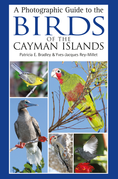 A Photographic Guide to the Birds of the Cayman Islands