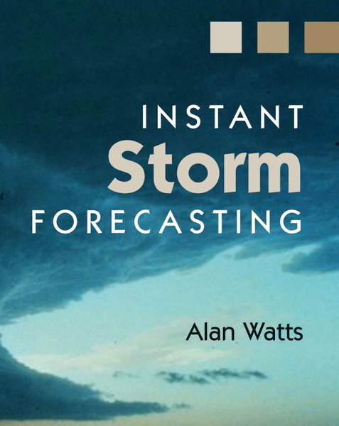 Instant Storm Forecasting