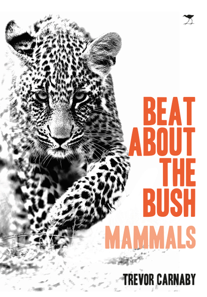 Beat About the Bush: Mammals