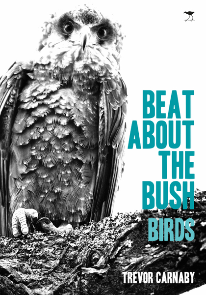 Beat About the Bush: Birds