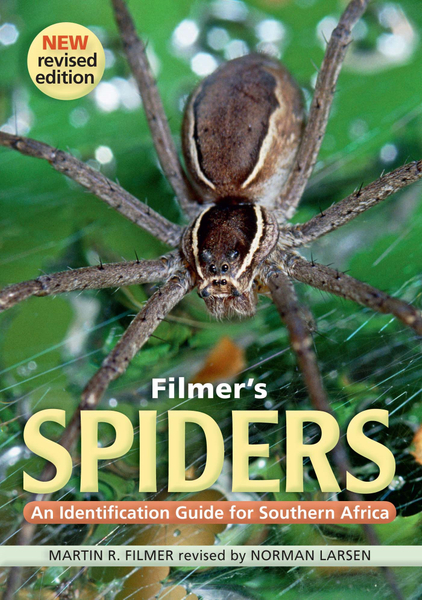 Filmer's Spiders