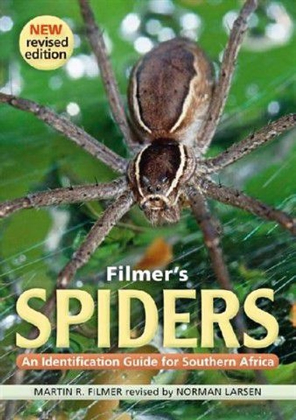 Filmer's Spiders