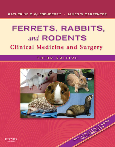 Ferrets, Rabbits and Rodents - E-Book