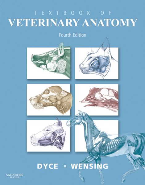 Textbook of Veterinary Anatomy - E-Book