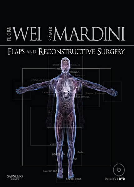 Flaps and Reconstructive Surgery E-Book