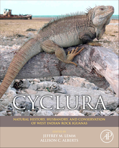 Cyclura