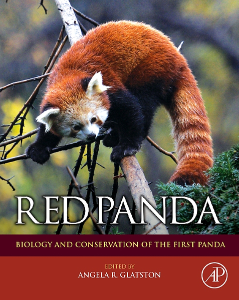 Red Panda