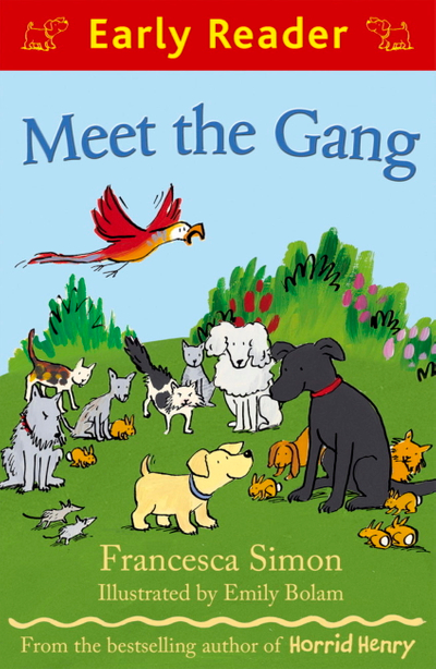 Meet the Gang