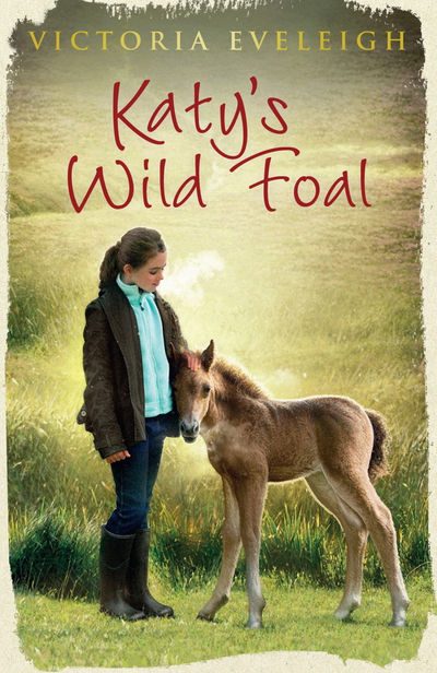 Katy's Wild Foal