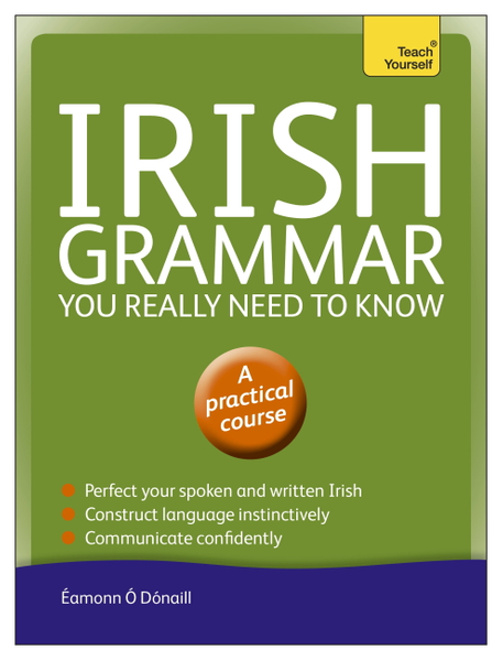 Irish Grammar You Really Need to Know: Teach Yourself