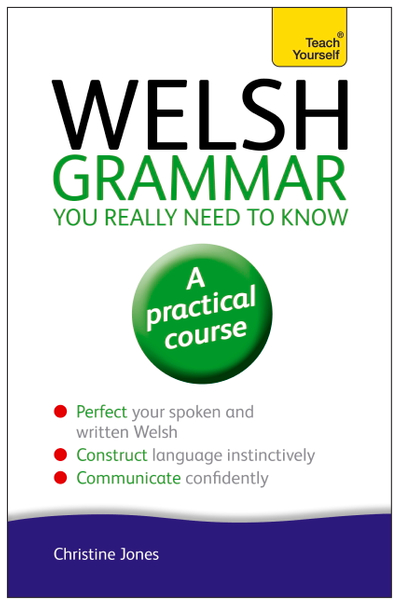 Welsh Grammar You Really Need to Know: Teach Yourself