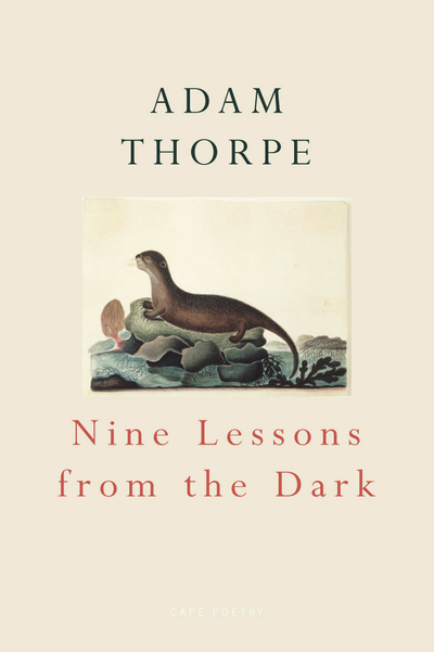 Nine Lessons From The Dark