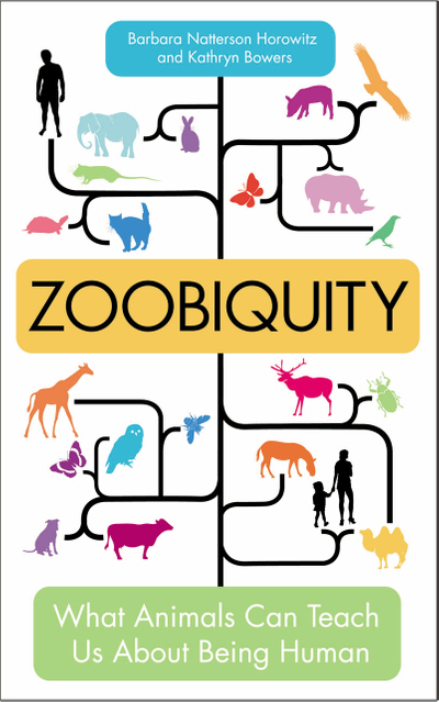 Zoobiquity