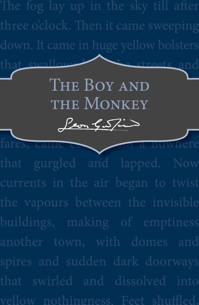 The Boy and the Monkey