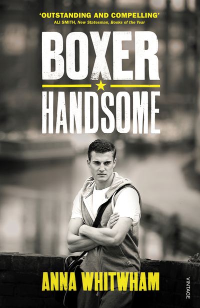 Boxer Handsome