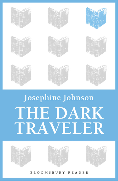 The Dark Traveler