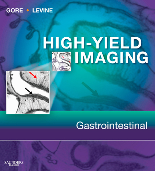 High Yield Imaging Gastrointestinal E-Book