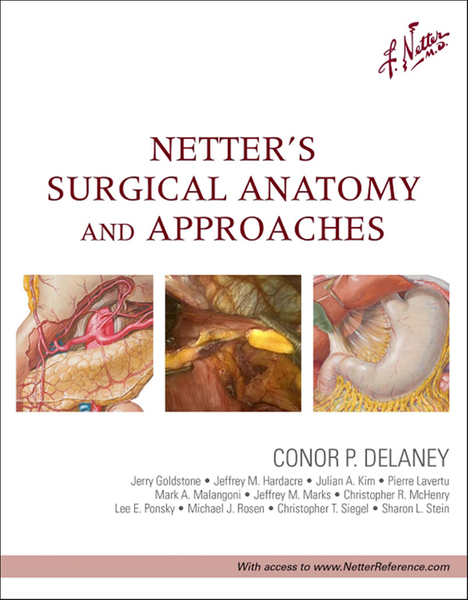 Netter's Surgical Anatomy and Approaches