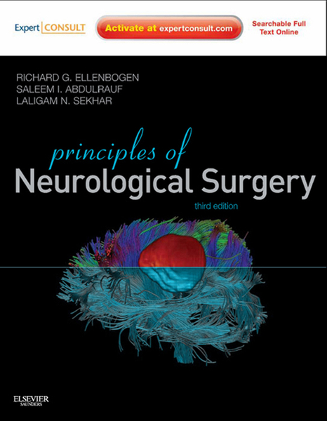 Principles of Neurological Surgery E-Book