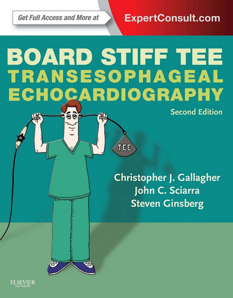 Board Stiff TEE E-Book