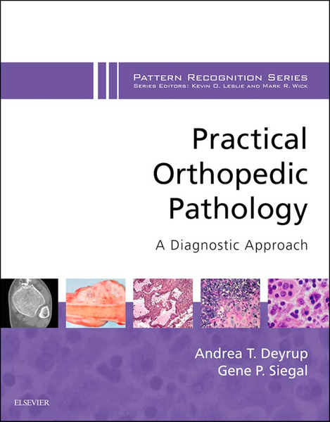 Practical Orthopedic Pathology: A Diagnostic Approach E-Book