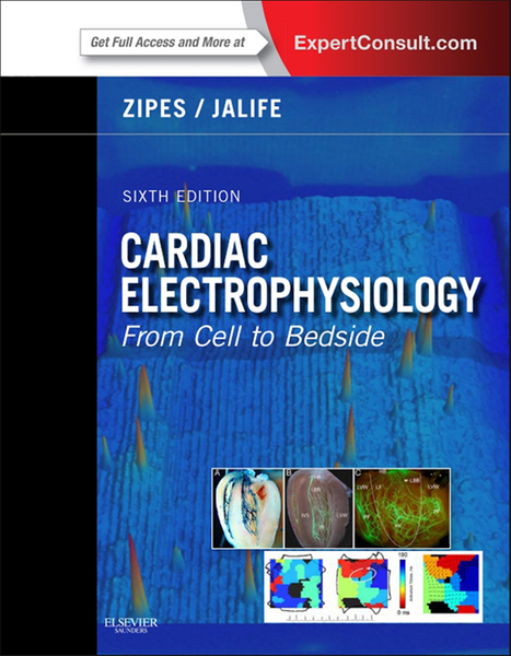 Cardiac Electrophysiology: From Cell to Bedside E-Book