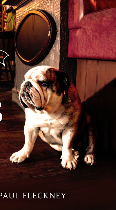 Great British Pub Dogs