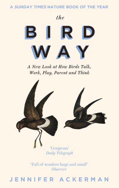 The Bird Way