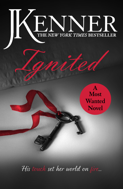 Ignited: Most Wanted Book 3