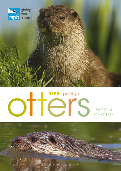 RSPB Spotlight: Otters