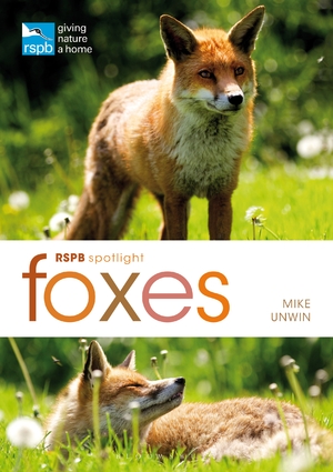 RSPB Spotlight: Foxes