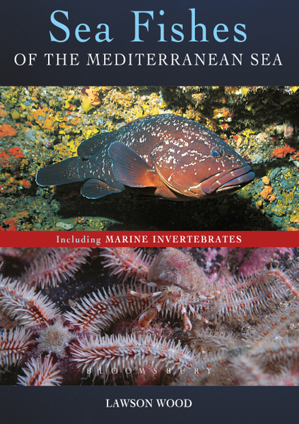 Sea Fishes Of The Mediterranean Including Marine Invertebrates