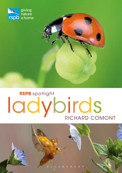 RSPB Spotlight Ladybirds