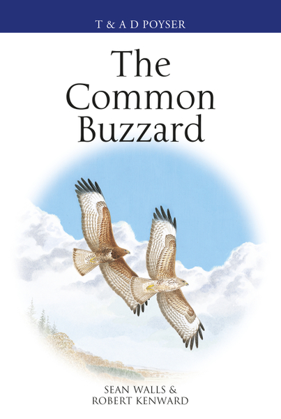 The Common Buzzard