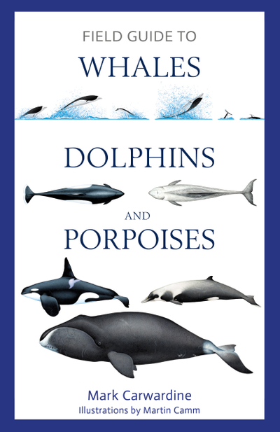 Field Guide to Whales, Dolphins and Porpoises