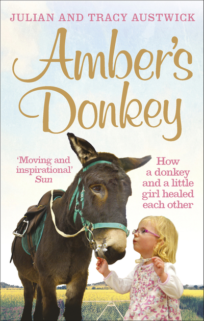 Amber's Donkey