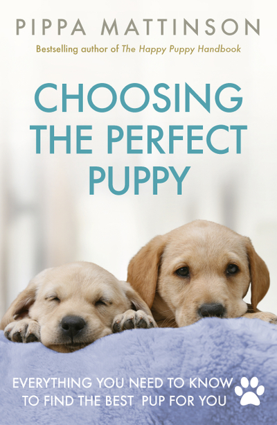 Choosing the Perfect Puppy