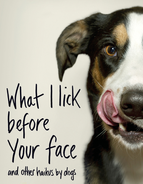 What I Lick Before Your Face ... and Other Haikus By Dogs