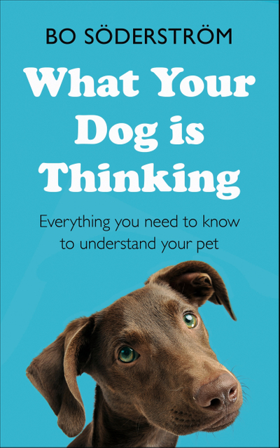 What Your Dog Is Thinking