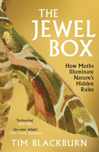 The Jewel Box