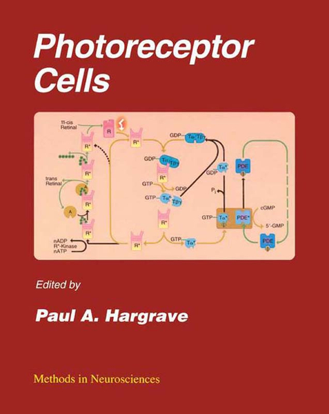 Photoreceptor Cells