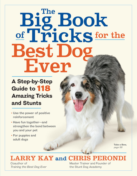 The Big Book of Tricks for the Best Dog Ever