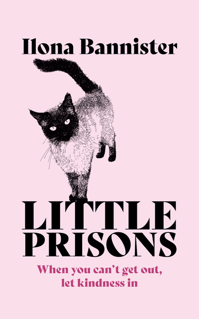 Little Prisons