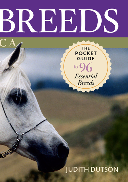 Horse Breeds of North America