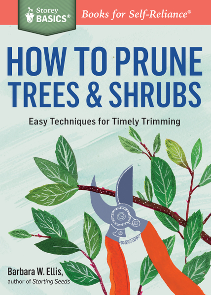 How to Prune Trees & Shrubs