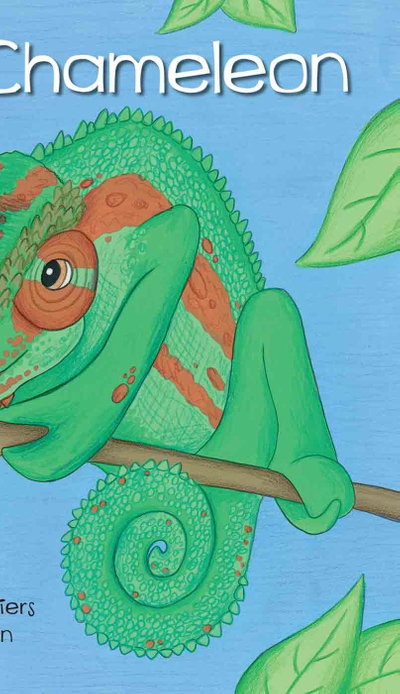 Curly the Chameleon