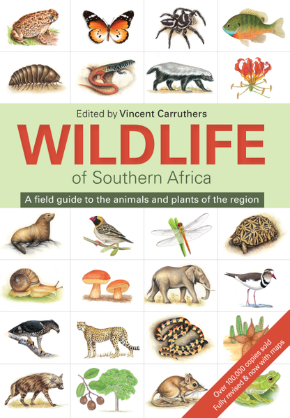 The Wildlife of Southern Africa